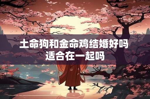 土命狗和金命鸡结婚好吗 适合在一起吗