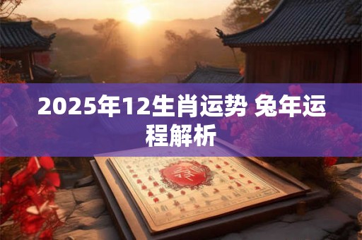 2025年12生肖运势 兔年运程解析