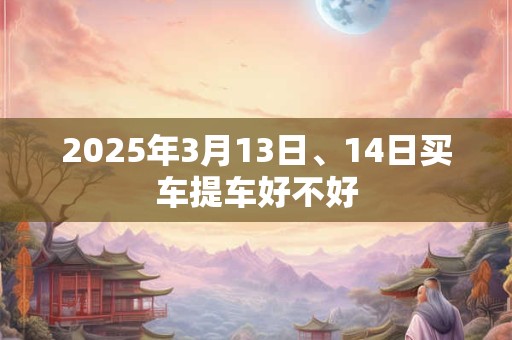 2025年3月13日、14日买车提车好不好