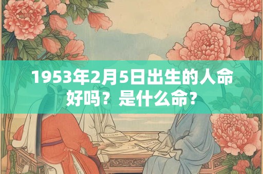 1953年2月5日出生的人命好吗？是什么命？