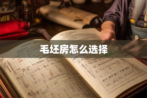 毛坯房怎么选择