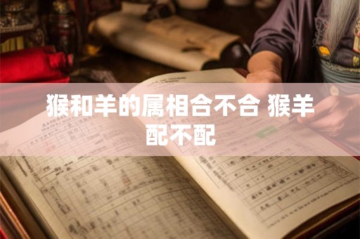 猴和羊的属相合不合 猴羊配不配