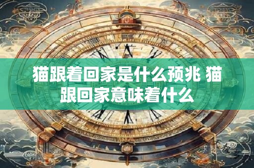 猫跟着回家是什么预兆 猫跟回家意味着什么