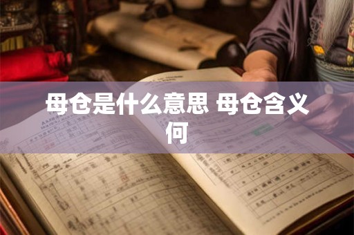 母仓是什么意思 母仓含义何