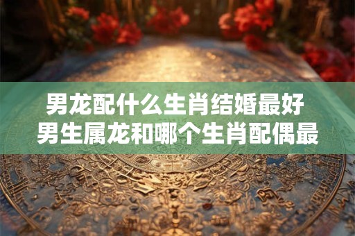 男龙配什么生肖结婚最好 男生属龙和哪个生肖配偶最配