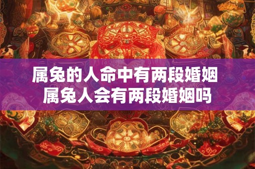 属兔的人命中有两段婚姻 属兔人会有两段婚姻吗