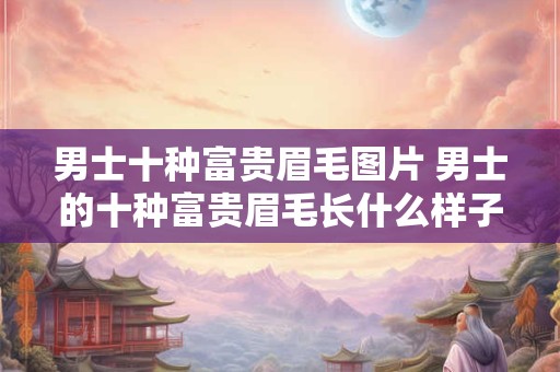 男士十种富贵眉毛图片 男士的十种富贵眉毛长什么样子