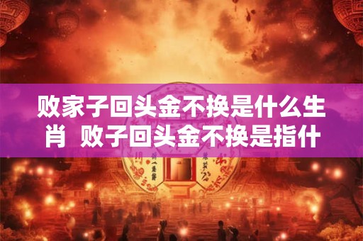 败家子回头金不换是什么生肖  败子回头金不换是指什么生肖