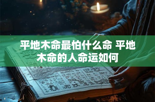 平地木命最怕什么命 平地木命的人命运如何