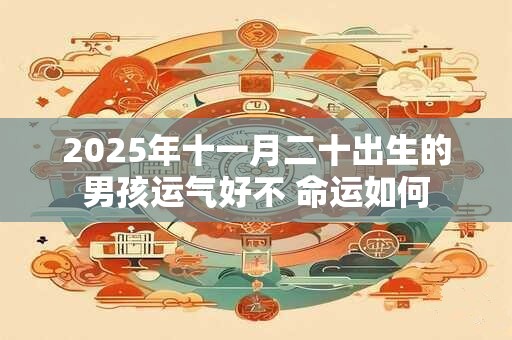 2025年十一月二十出生的男孩运气好不 命运如何