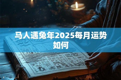 马人遇兔年2025每月运势如何