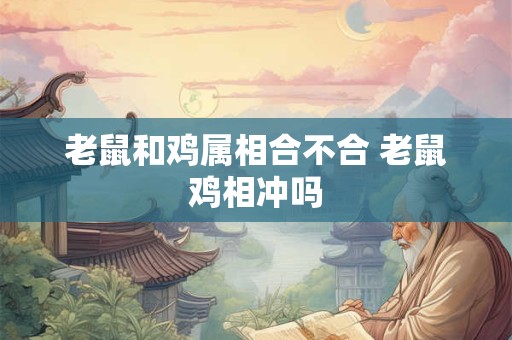 老鼠和鸡属相合不合 老鼠鸡相冲吗