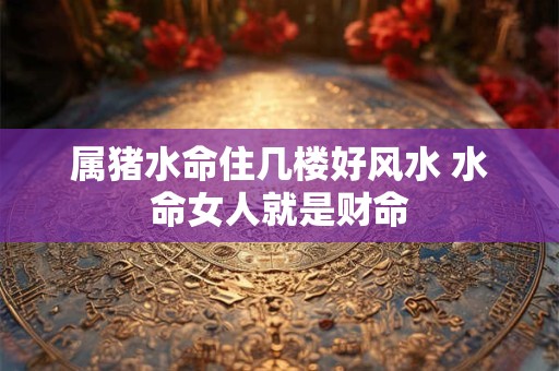 属猪水命住几楼好风水 水命女人就是财命