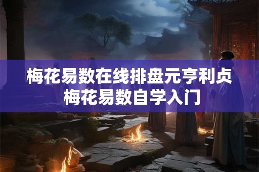 梅花易数在线排盘元亨利贞 梅花易数自学入门