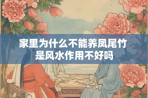 家里为什么不能养凤尾竹 是风水作用不好吗