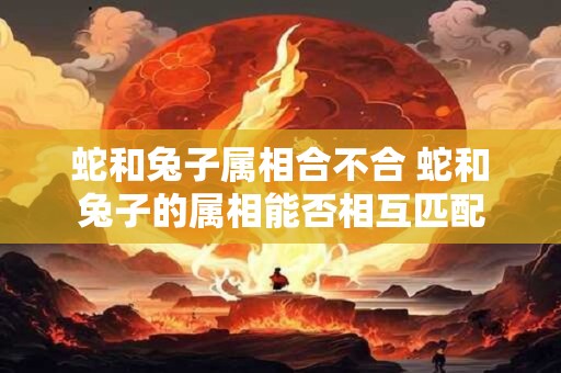 蛇和兔子属相合不合 蛇和兔子的属相能否相互匹配 蛇和兔子属相合不合 蛇和兔子的属相能否相互匹配