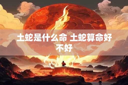 土蛇是什么命 土蛇算命好不好
