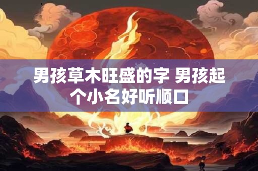 男孩草木旺盛的字 男孩起个小名好听顺口