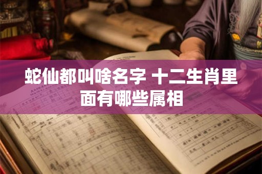 蛇仙都叫啥名字 十二生肖里面有哪些属相