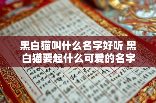 黑白猫叫什么名字好听 黑白猫要起什么可爱的名字 黑白猫叫什么名字好听 黑白猫要起什么可爱的名字