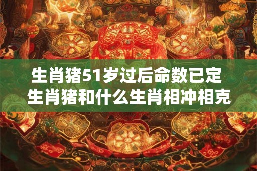 生肖猪51岁过后命数已定 生肖猪和什么生肖相冲相克