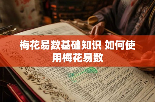 梅花易数基础知识 如何使用梅花易数