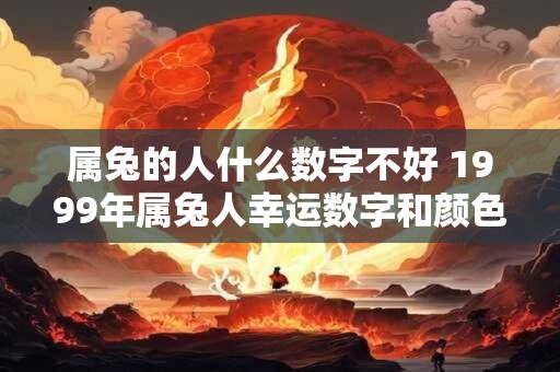 属兔的人什么数字不好 1999年属兔人幸运数字和颜色
