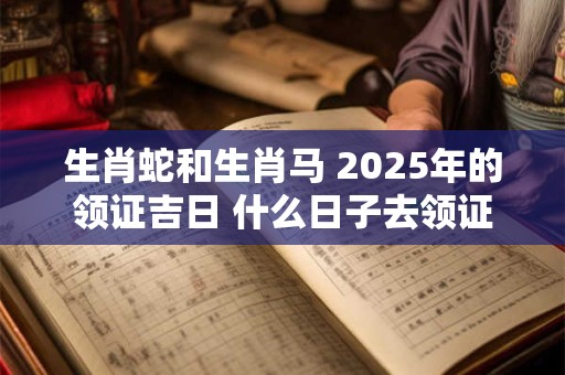 生肖蛇和生肖马 2026年的领证吉日 什么日子去领证