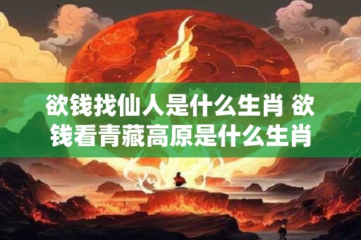 欲钱找仙人是什么生肖 欲钱看青藏高原是什么生肖