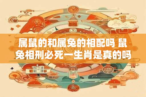 属鼠的和属兔的相配吗 鼠兔相刑必死一生肖是真的吗