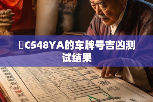 滬C548YA的车牌号吉凶测试结果