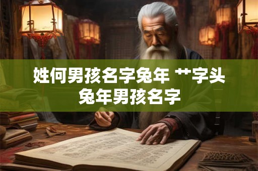 姓何男孩名字兔年 艹字头兔年男孩名字