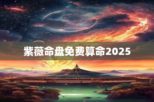 紫薇命盘免费算命2025