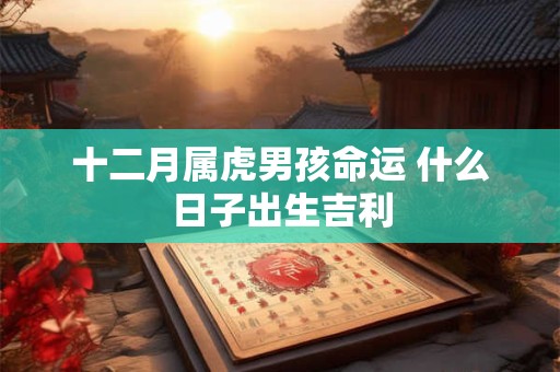 十二月属虎男孩命运 什么日子出生吉利