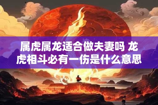 属虎属龙适合做夫妻吗 龙虎相斗必有一伤是什么意思