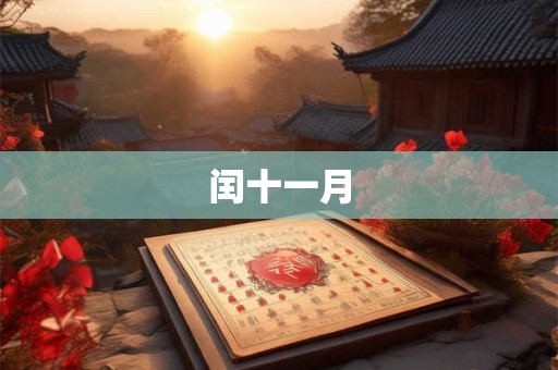 闰十一月