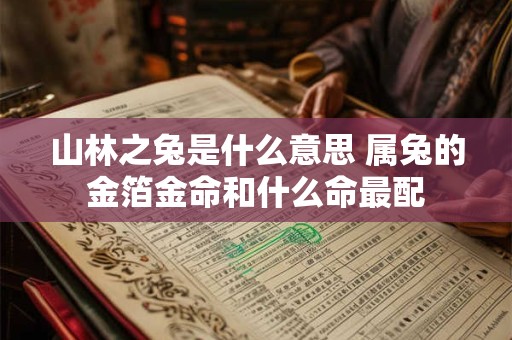 山林之兔是什么意思 属兔的金箔金命和什么命最配