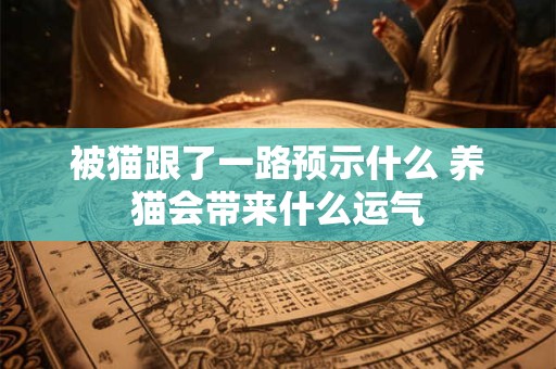 被猫跟了一路预示什么 养猫会带来什么运气
