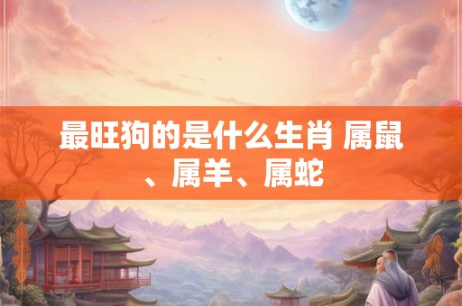最旺狗的是什么生肖 属鼠、属羊、属蛇