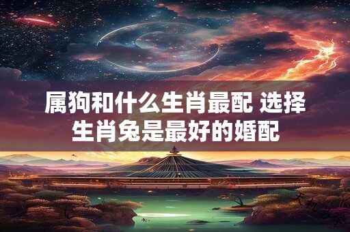 属狗和什么生肖最配 选择生肖兔是最好的婚配