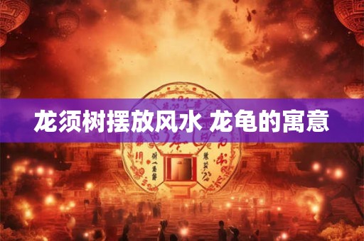 龙须树摆放风水 龙龟的寓意