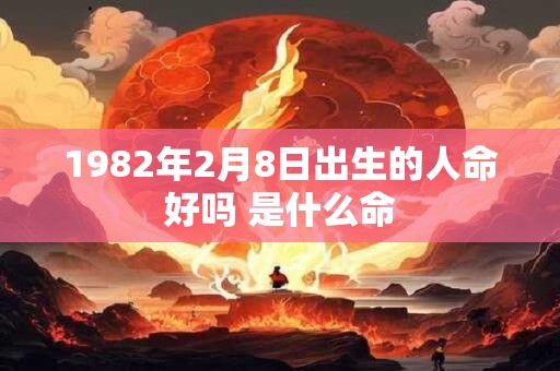 1982年2月8日出生的人命好吗 是什么命