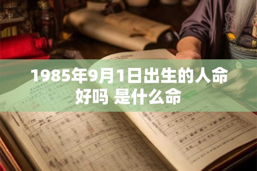 1985年9月1日出生的人命好吗 是什么命
