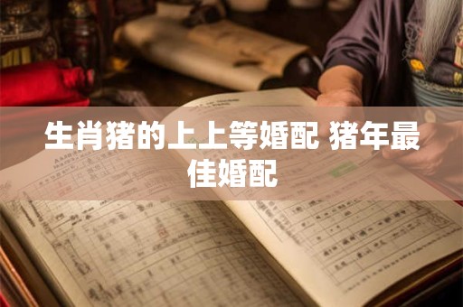 生肖猪的上上等婚配 猪年最佳婚配