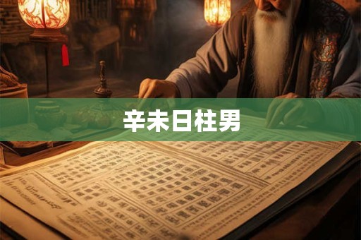 辛未日柱男 辛未日柱男