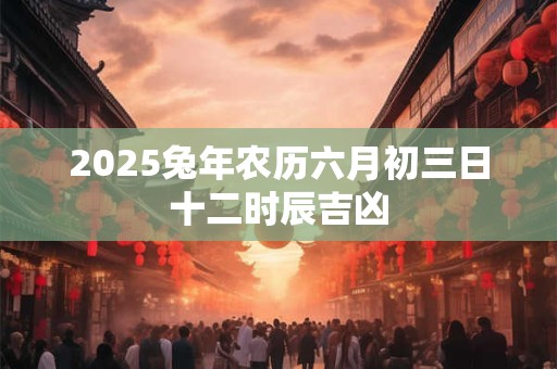 2025兔年农历六月初三日十二时辰吉凶 2025兔年农历六月初三日十二时辰吉凶