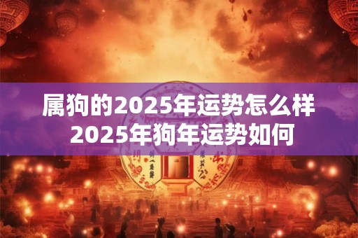 属狗的2025年运势怎么样 2025年狗年运势如何