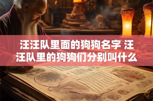 汪汪队里面的狗狗名字 汪汪队里的狗狗们分别叫什么