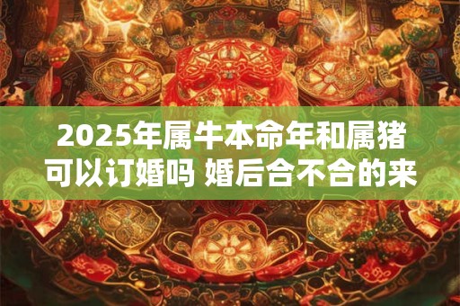 2025年属牛本命年和属猪可以订婚吗 婚后合不合的来