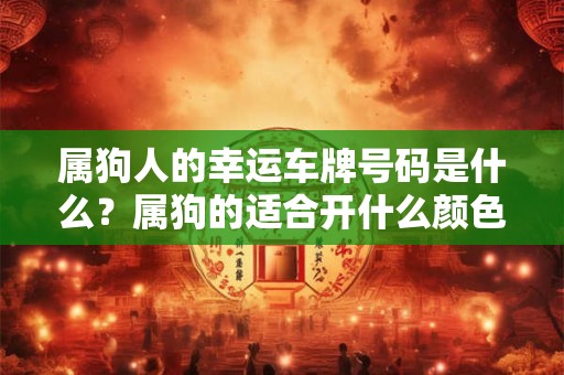 属狗人的幸运车牌号码是什么？属狗的适合开什么颜色的车